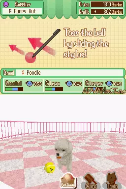 Image n° 3 - screenshots : My Puppy Shop